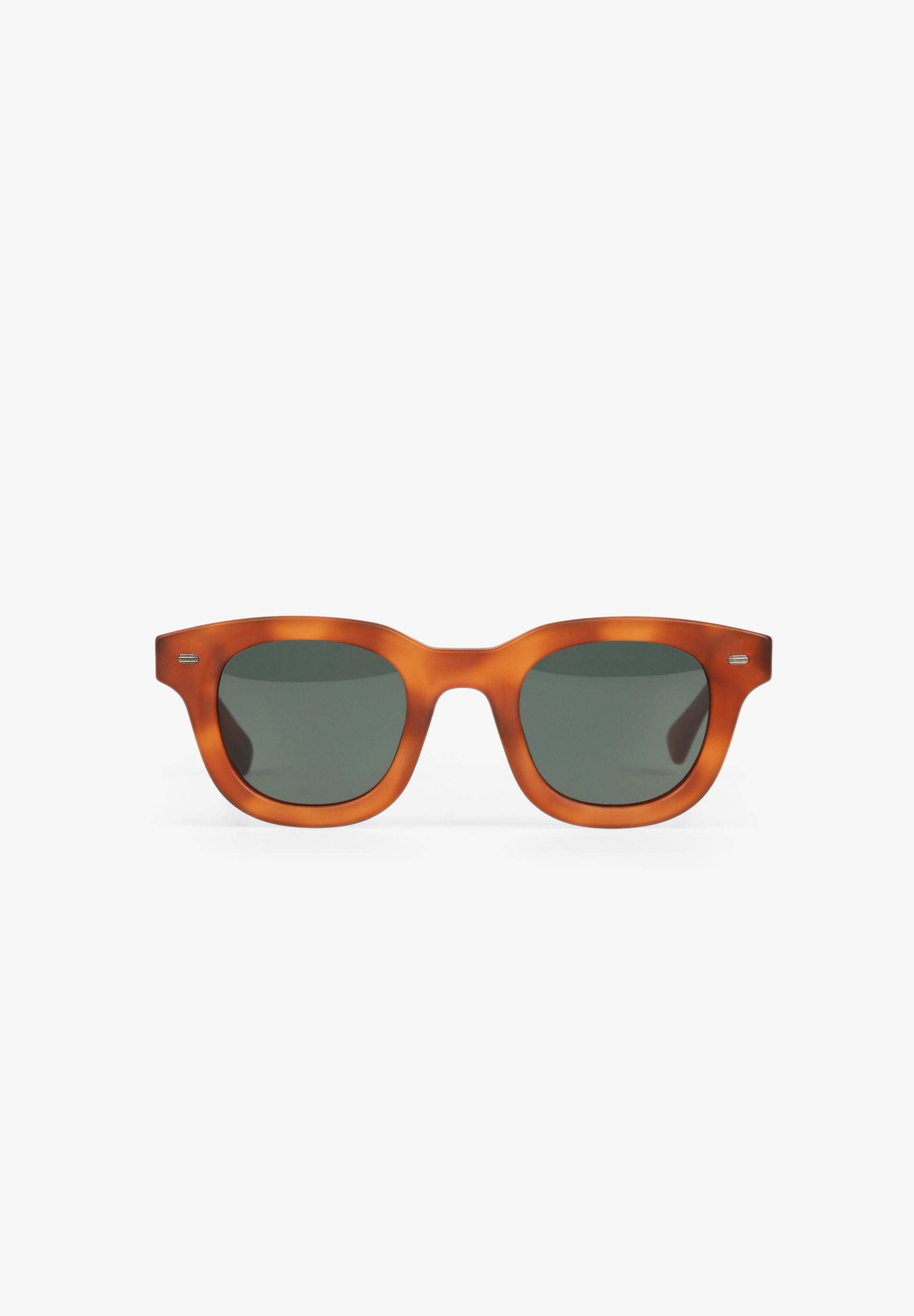 RESIN SUNGLASSES