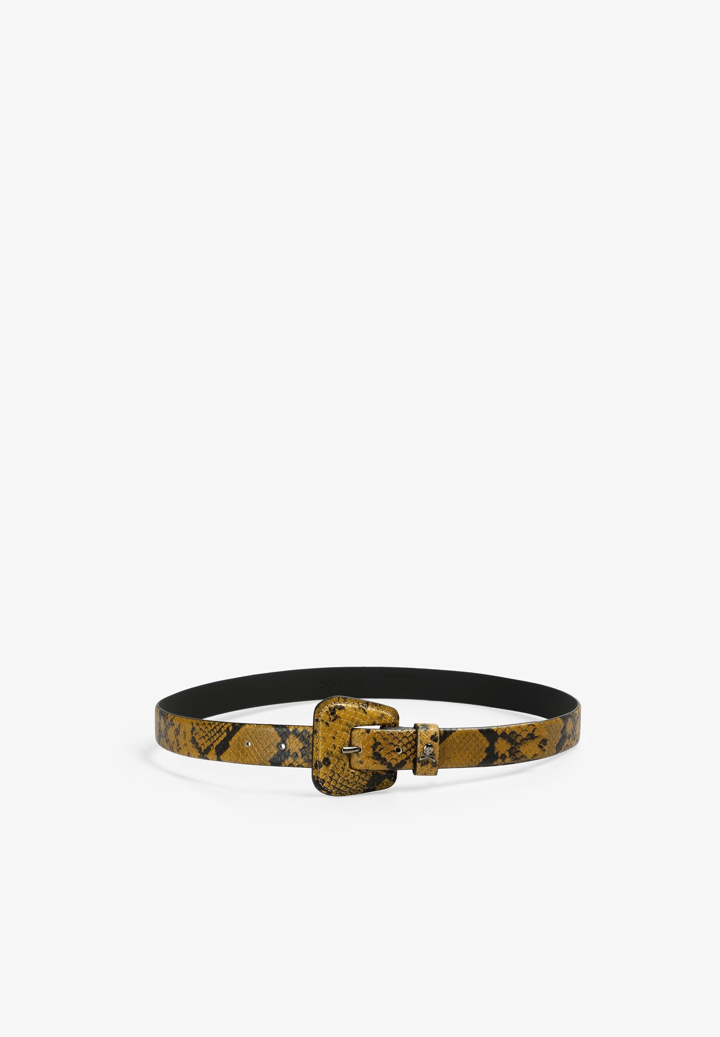 SCSNAKE BELT