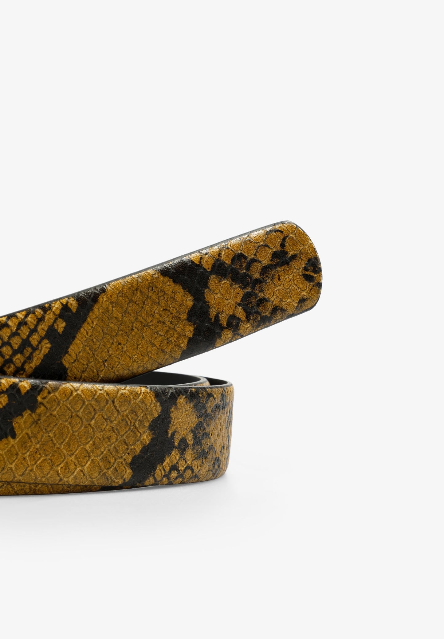 SCSNAKE BELT