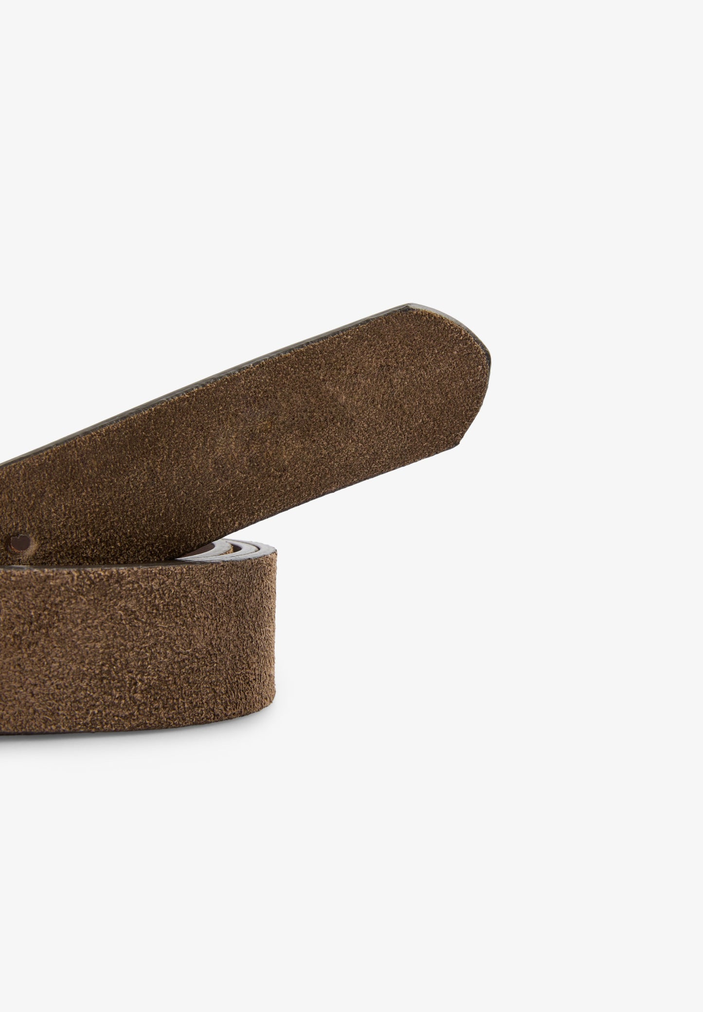 SCSKULL SUEDE BELT