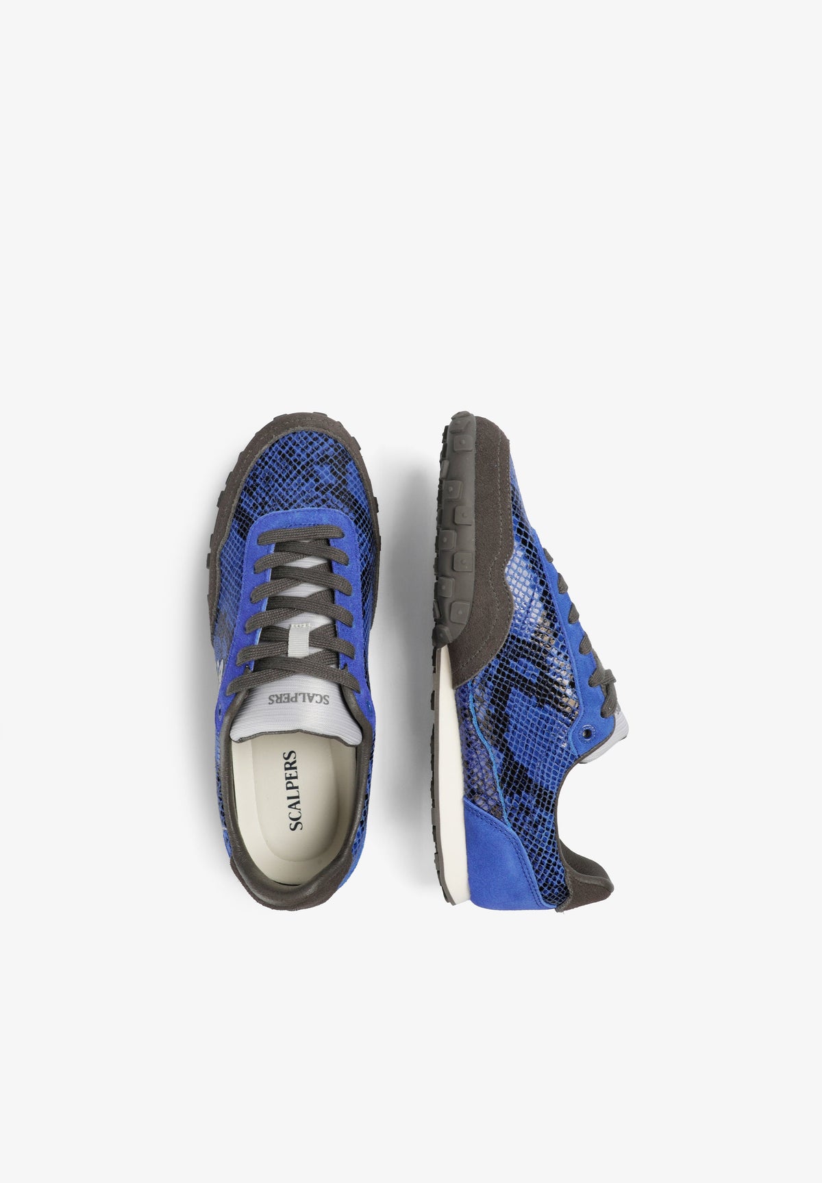 SCDACH SNAKE SNEAKERS