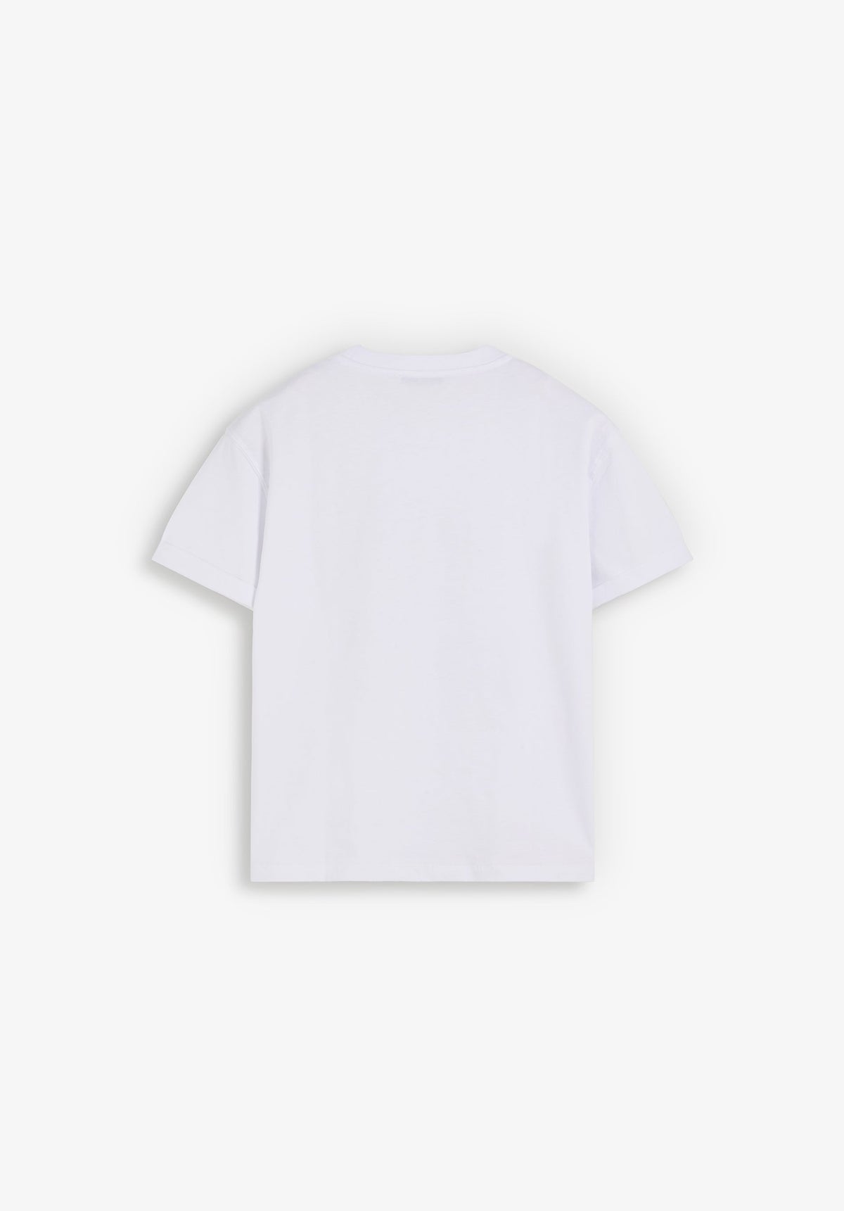 PAISLEY SKULL T-SHIRT