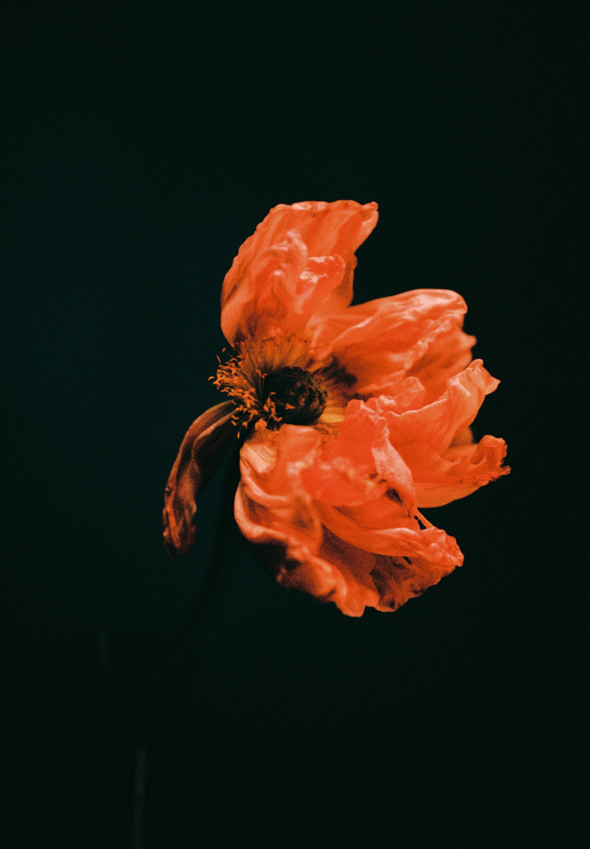 BRAIDED LEATHER CROSSBODY BAG