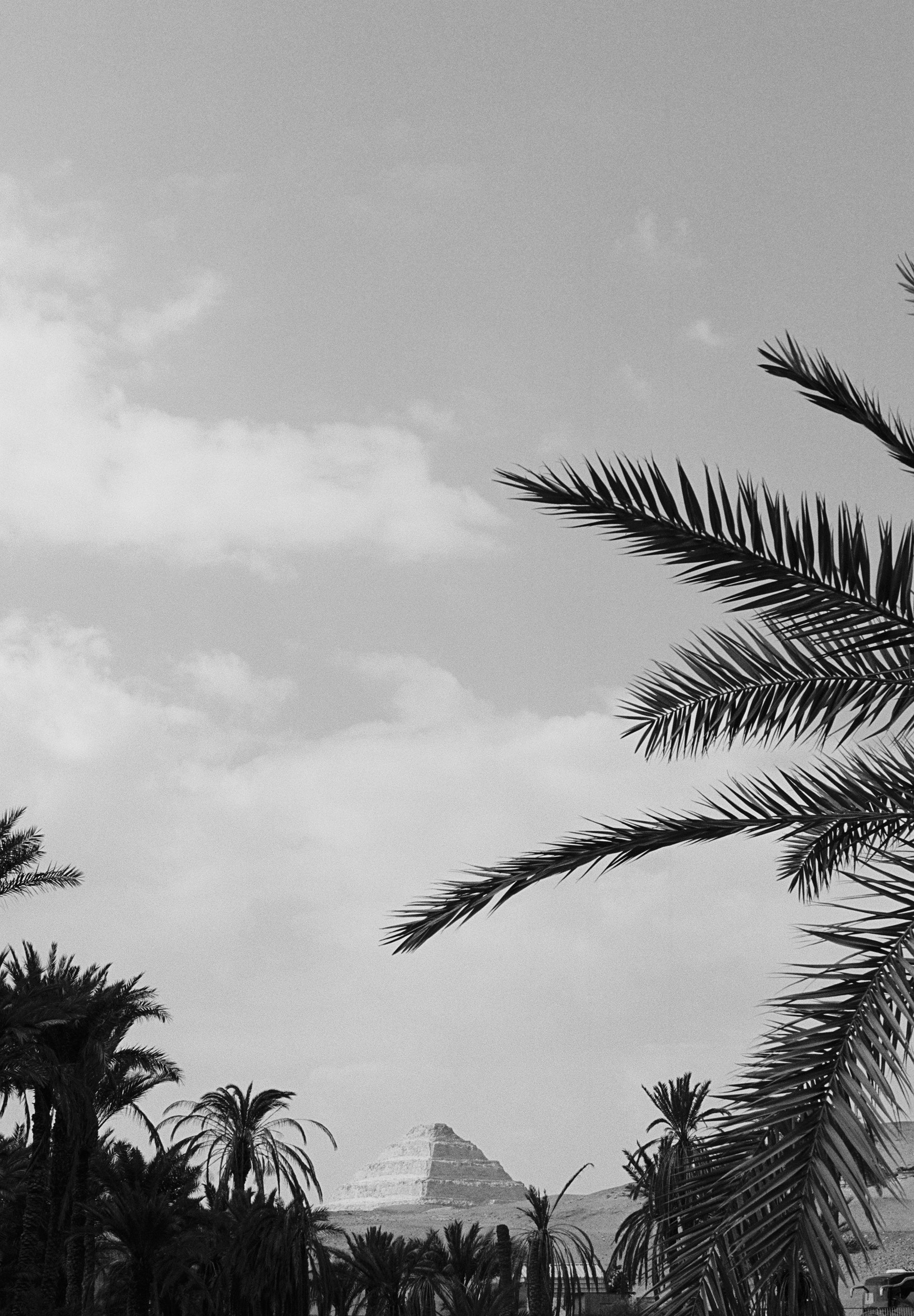 FINE KNIT POLO SHIRT WITH BUTTONS