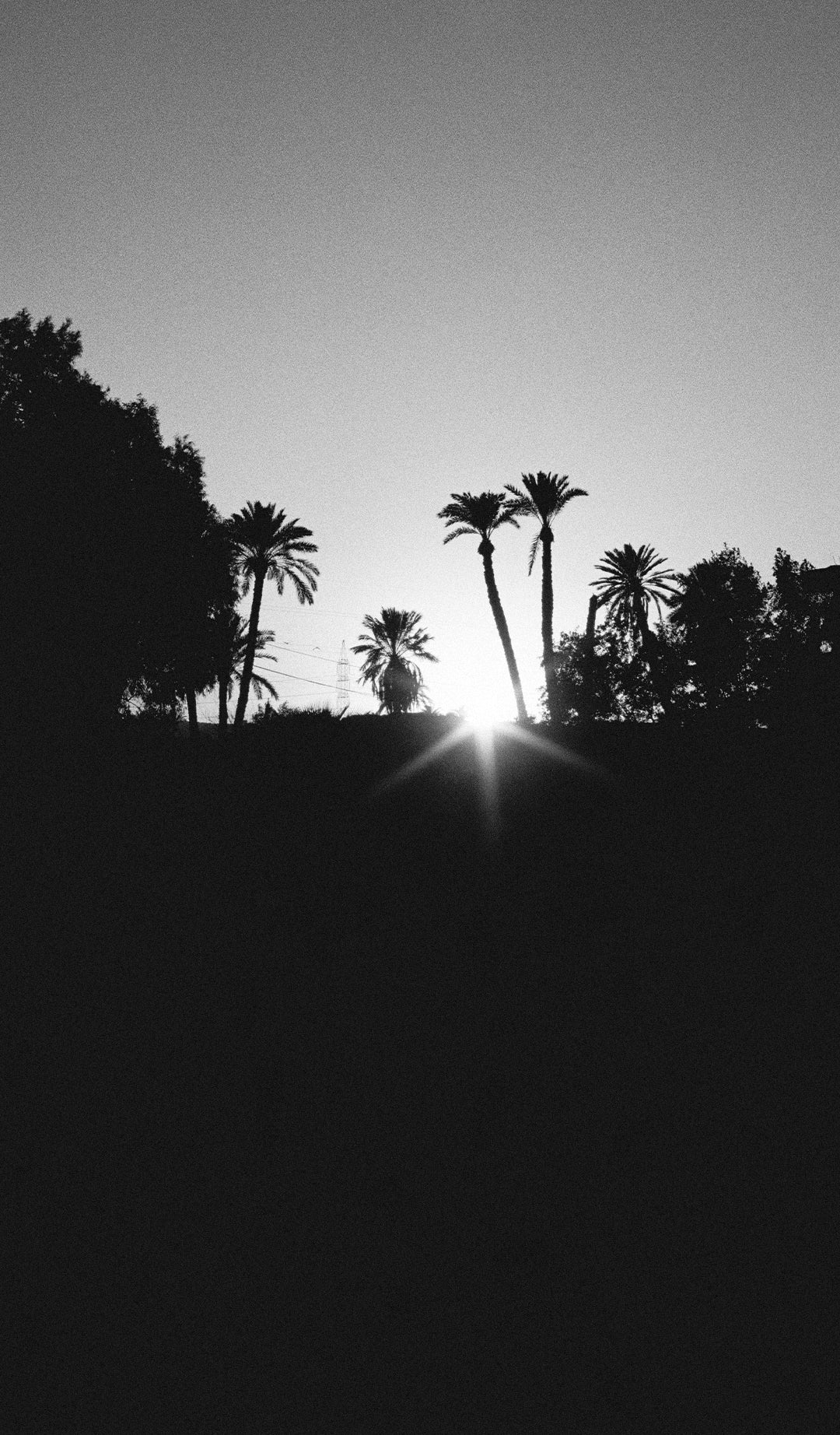 rocket-scalpers-hero-banner